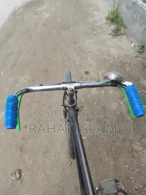 China Phoenix Bicycle