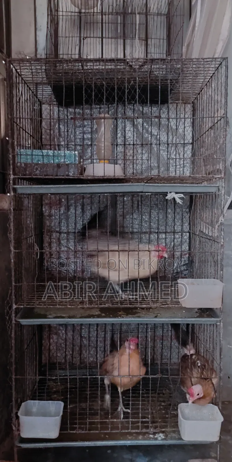3-Tier Thick Wire Cage