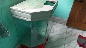 Big Aquarium