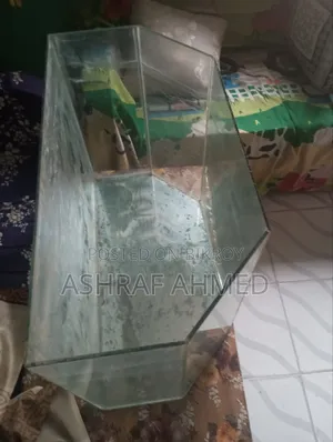 Big Aquarium