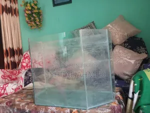 Big Aquarium