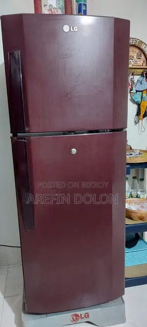 Lg Gl-254ahg4(Bb) ডাবল ডোর - টপ ফ্রিজার ২৪০ লিটার রেফ্রিজারেটর