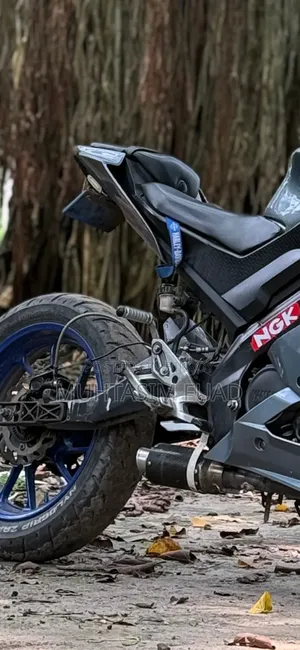 Leo Vince Exhaust