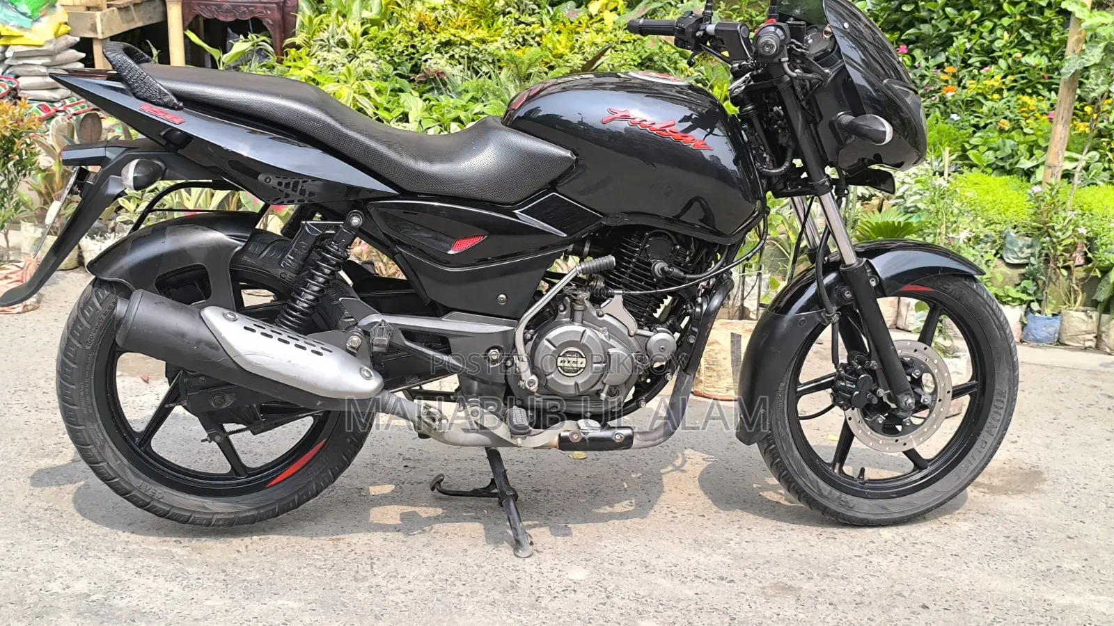 Bajaj Pulsar 150 2023 Black