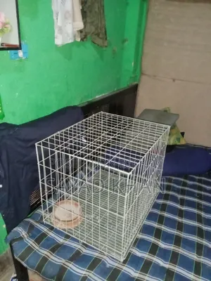 24 Size Cage