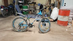 Running Bicycle