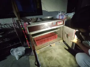 ১০১ ডিমের অটোমেটিক ইনকিউবেটর বিক্রি করা হবে