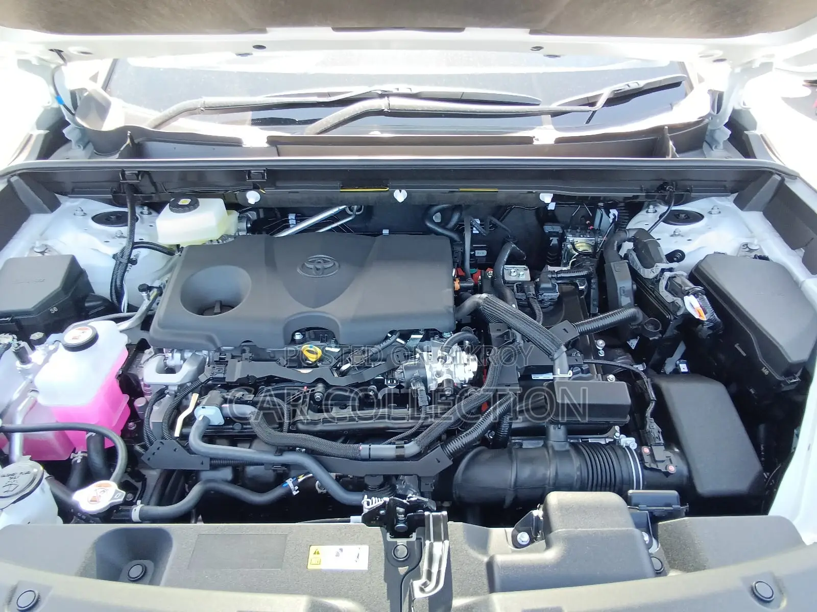New Toyota RAV4 2026 Pearl