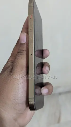 Apple iPhone 13 Pro Max 256 GB Silver