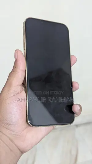 Apple iPhone 13 Pro Max 256 GB Silver