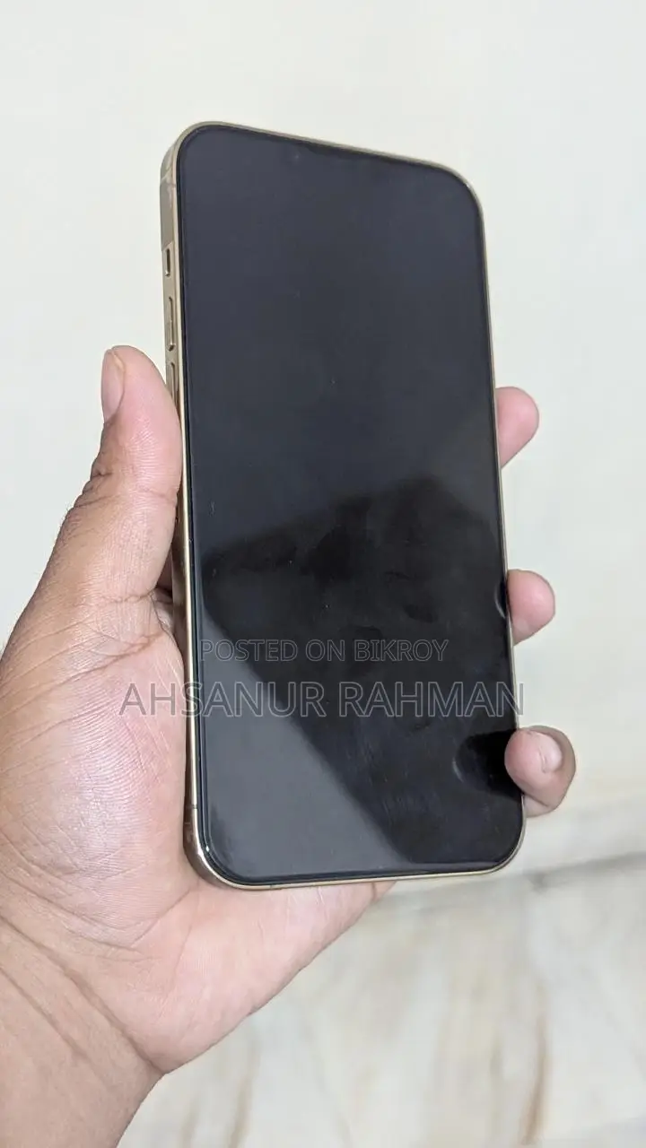 Apple iPhone 13 Pro Max 256 GB Silver