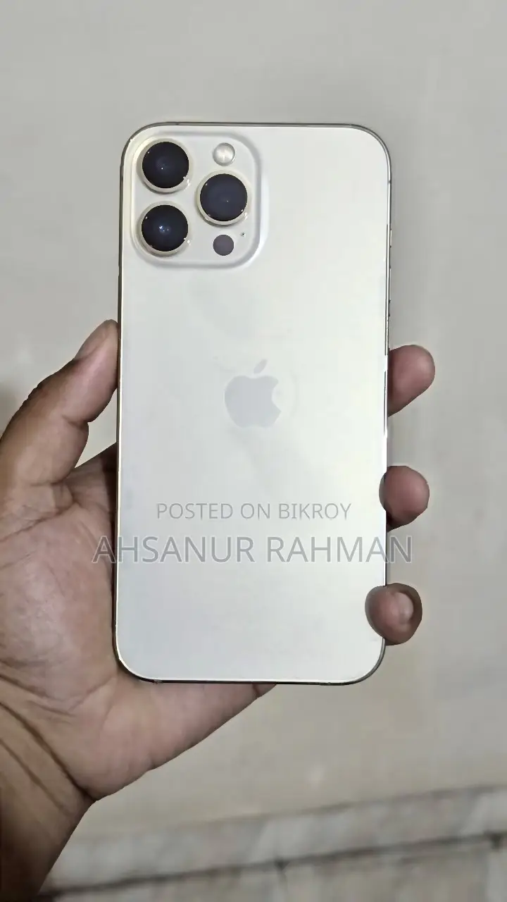 Apple iPhone 13 Pro Max 256 GB Silver