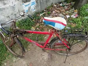 A Non-Gear Simple Bicycle