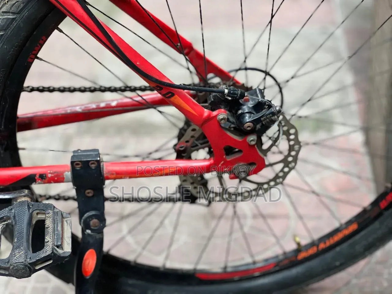 Veloce Seventy One Warrior 2.0