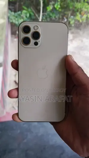 অ্যাপল আইফোন ১২ প্রো ২৫৬ জিবি গোল্ড