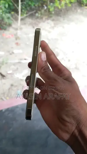 অ্যাপল আইফোন ১২ প্রো ২৫৬ জিবি গোল্ড