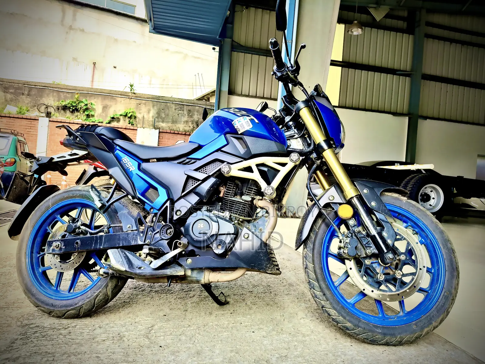 Runner Bolt 165R 2022 Blue