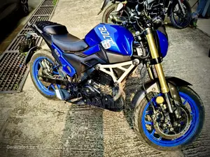 Runner Bolt 165R 2022 Blue