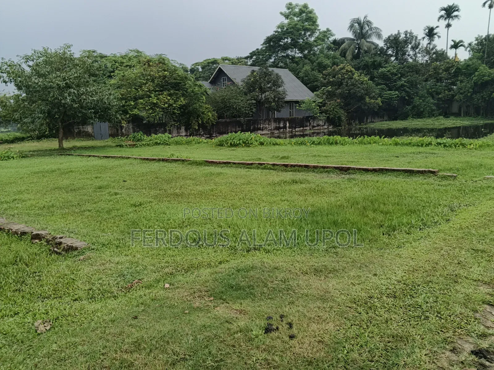 প্লট বিক্রি করা হবে