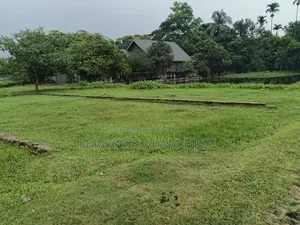 প্লট বিক্রি করা হবে