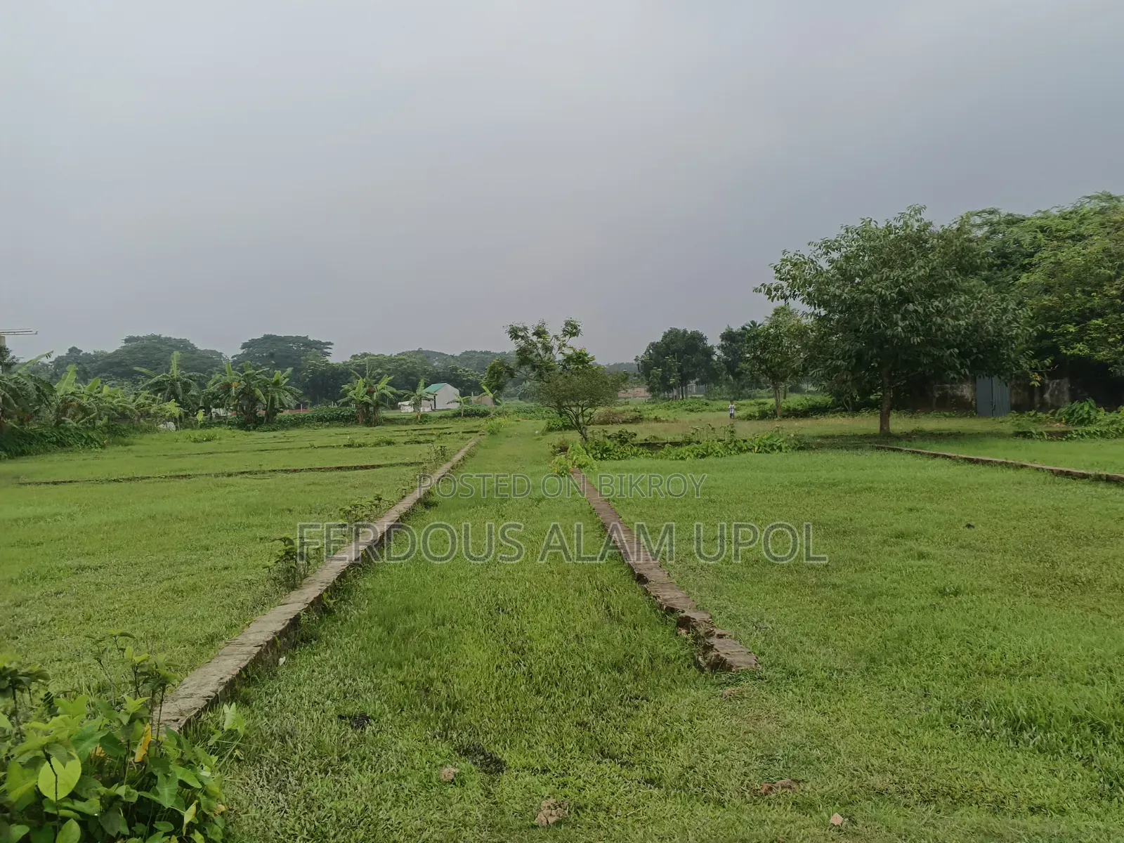 প্লট বিক্রি করা হবে