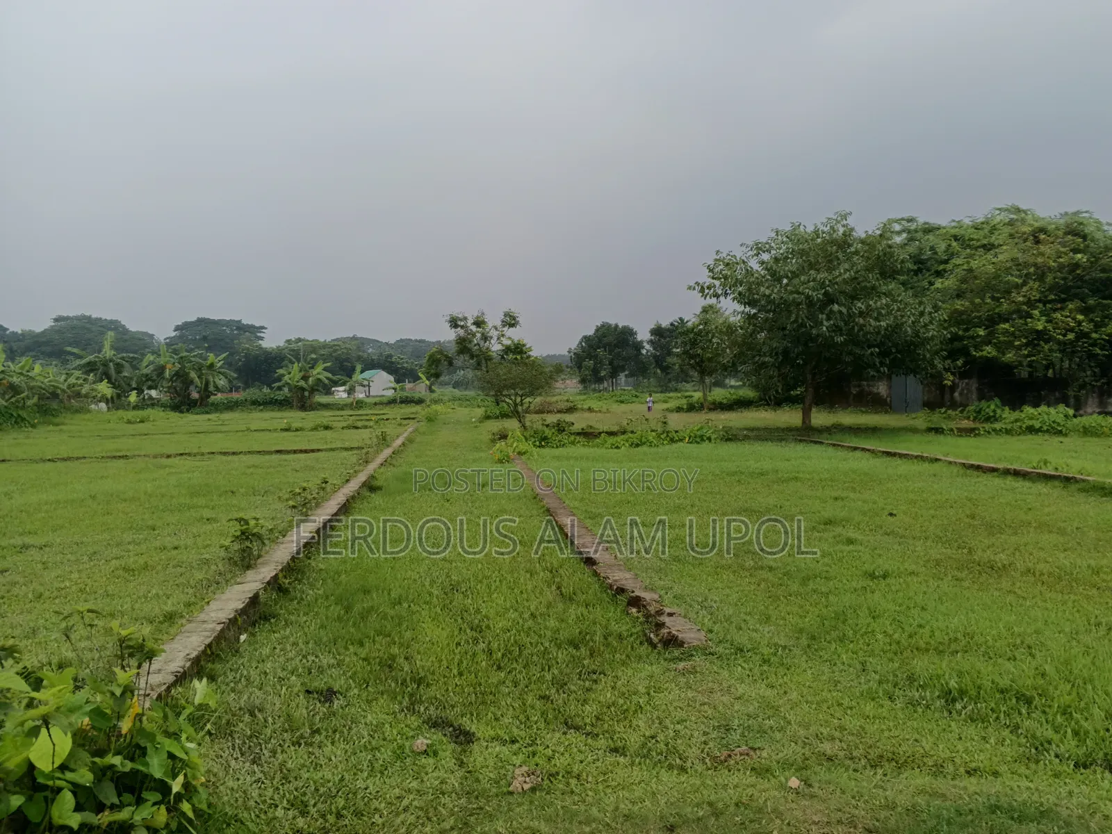 প্লট বিক্রি করা হবে