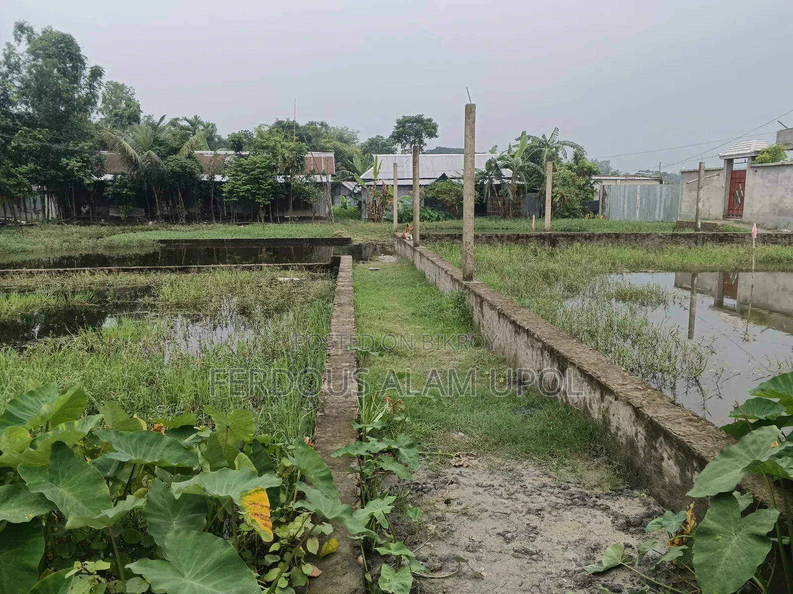 প্লট বিক্রি করা হবে