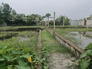প্লট বিক্রি করা হবে