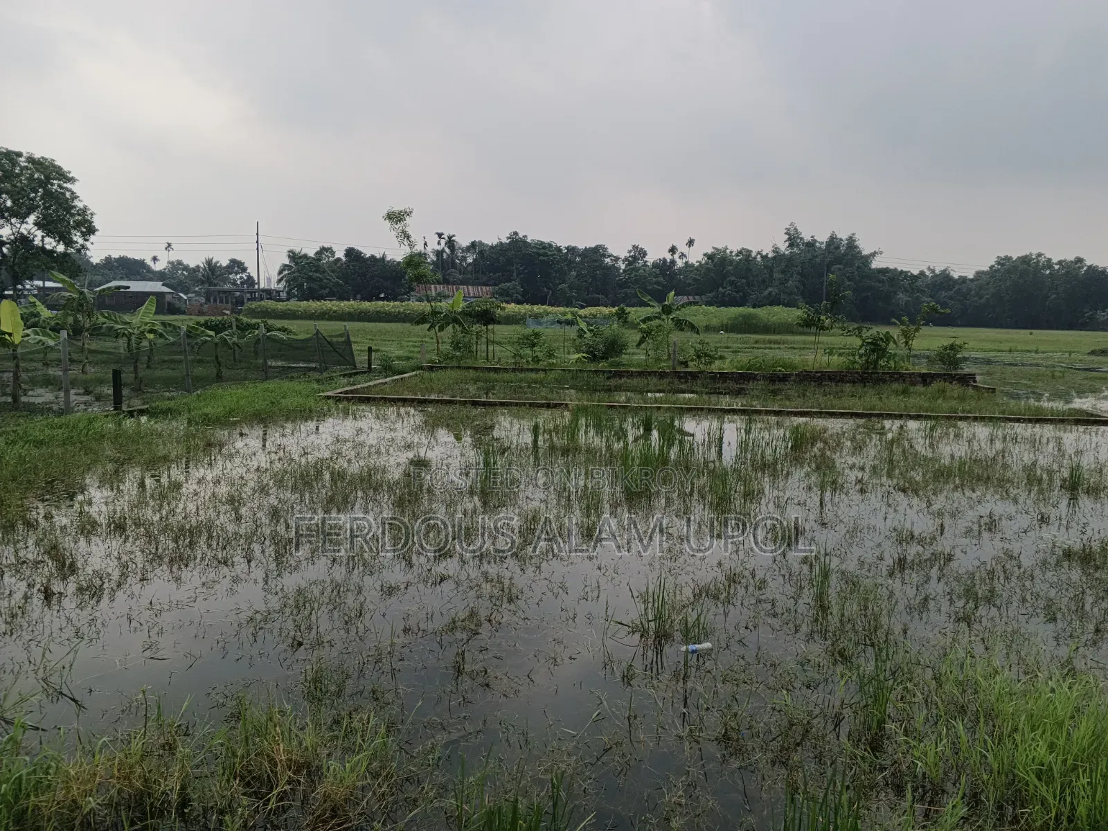 প্লট বিক্রি করা হবে