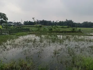 প্লট বিক্রি করা হবে