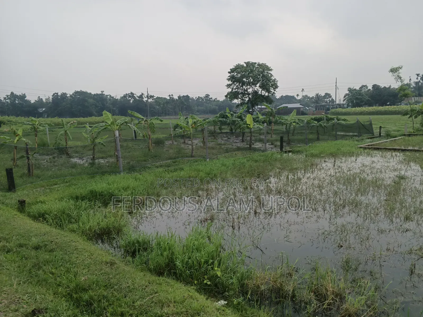 প্লট বিক্রি করা হবে