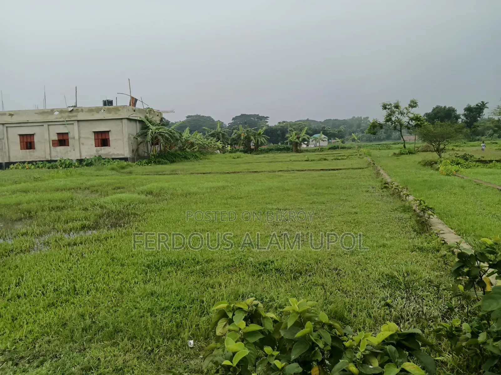 প্লট বিক্রি করা হবে