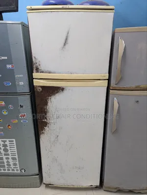 অ্যারিস্টন নো ফ্রস্ট ফ্রিজ ২২৫ লিটার