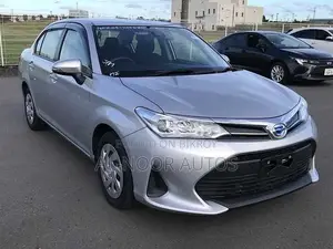 Toyota Axio 2021 Silver