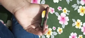 Realme 10 Pro 128 GB Red