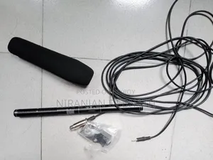 Panasonic Boom Microphone