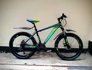 New 26-inch Phoenix Cycle 11 Month Use.