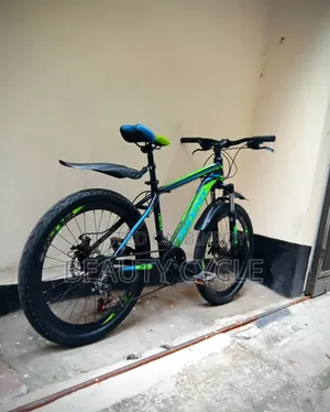 New 26-inch Phoenix Cycle 11 Month Use.