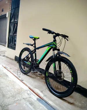 New 26-inch Phoenix Cycle 11 Month Use.