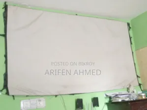 100" Projector Screen