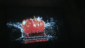 100" Projector Screen