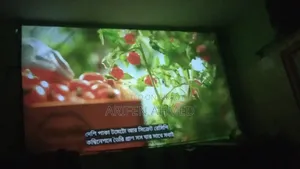 100" Projector Screen
