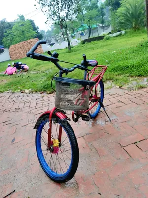Atlas 20" Full Serviced Kids Cycle – Best Gift
