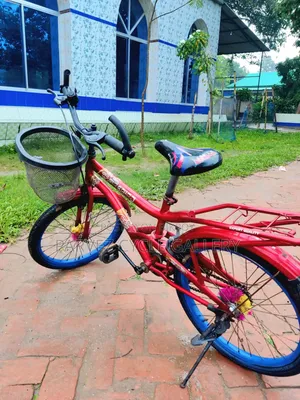 Atlas 20" Full Serviced Kids Cycle – Best Gift