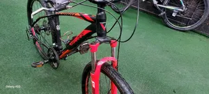 Limited Edition 30