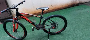 Limited Edition 30