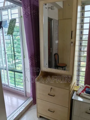 Mirror Cabinet