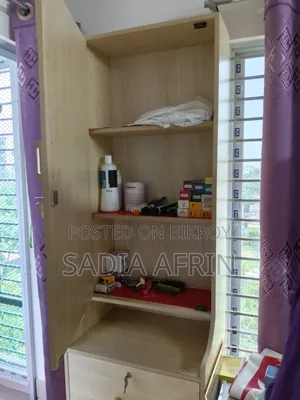 Mirror Cabinet