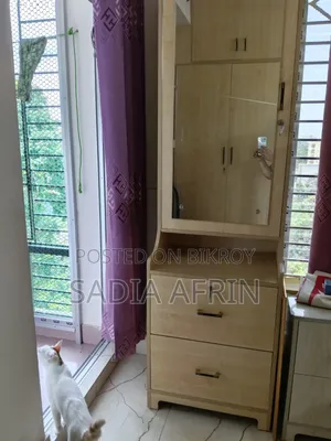 Mirror Cabinet