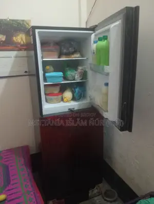 Singer Company Refrigerator, used for only one year. 252 Liters